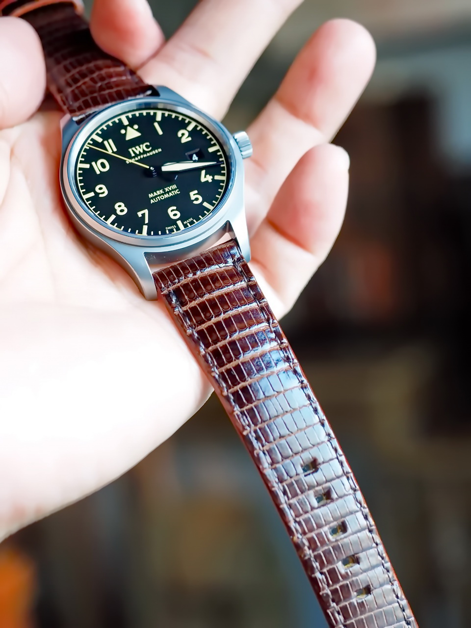 萬國 IWC